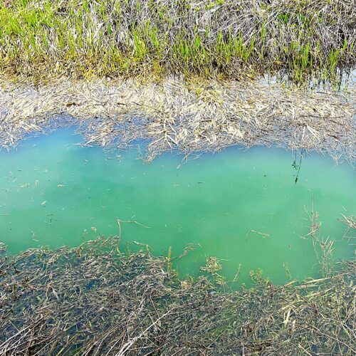 Decision on Dummer Yard landfill will take months